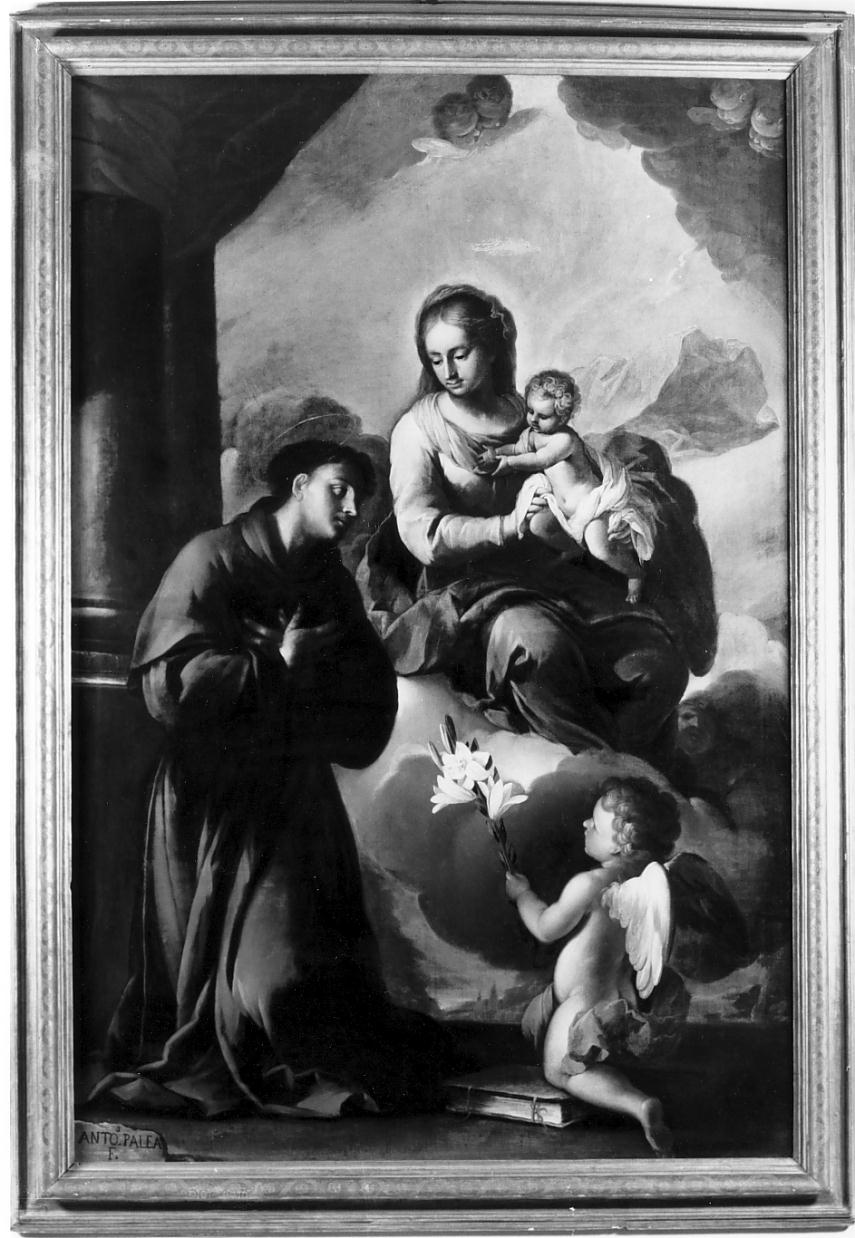 Madonna in gloria col Bambino e Sant'Antonio da Padova (dipinto, opera isolata) di Paglia Antonio (inizio sec. XVIII)