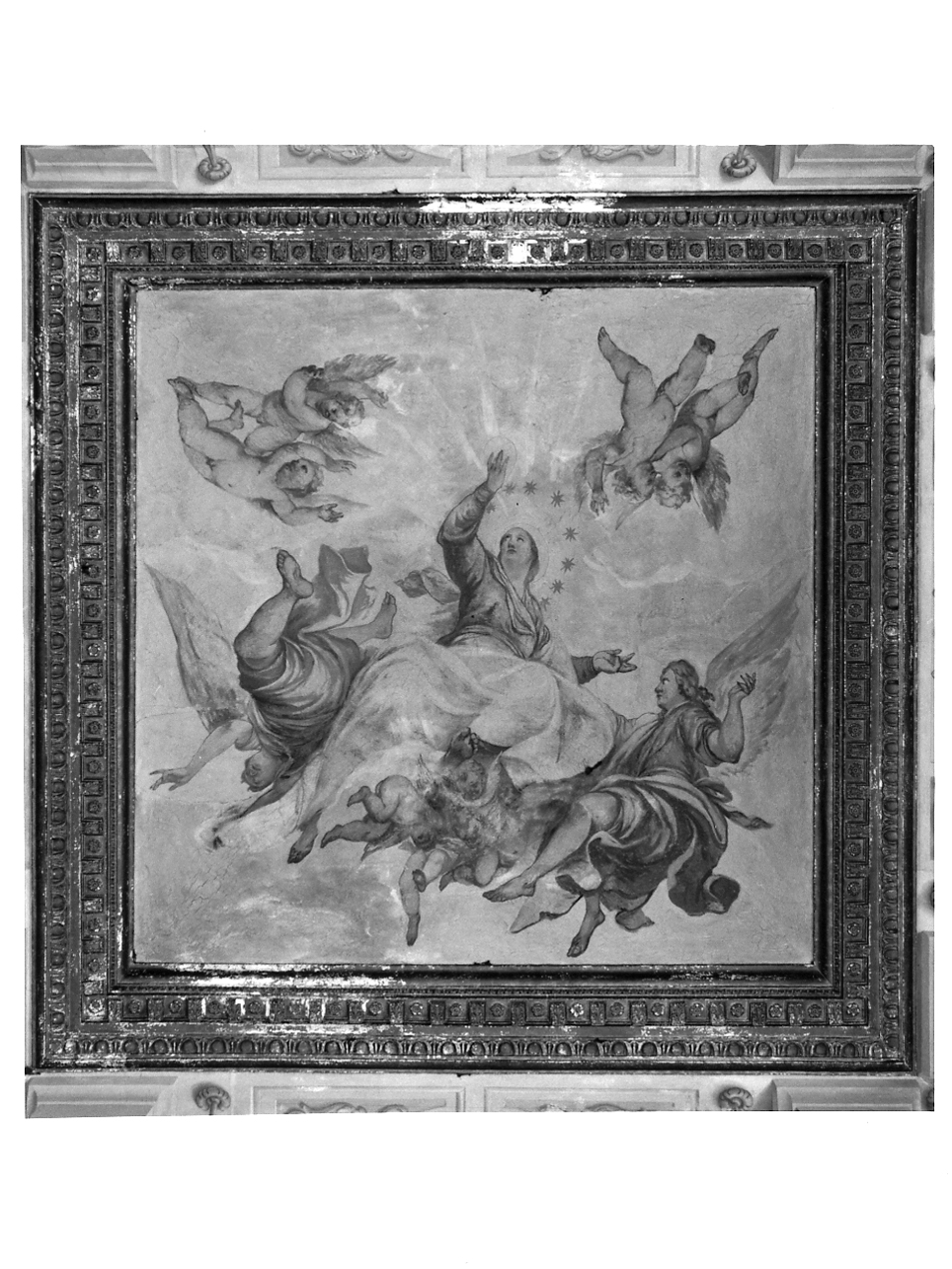 assunzione della Madonna (dipinto, elemento d'insieme) di Bracchi Ludovico (primo quarto sec. XVIII)