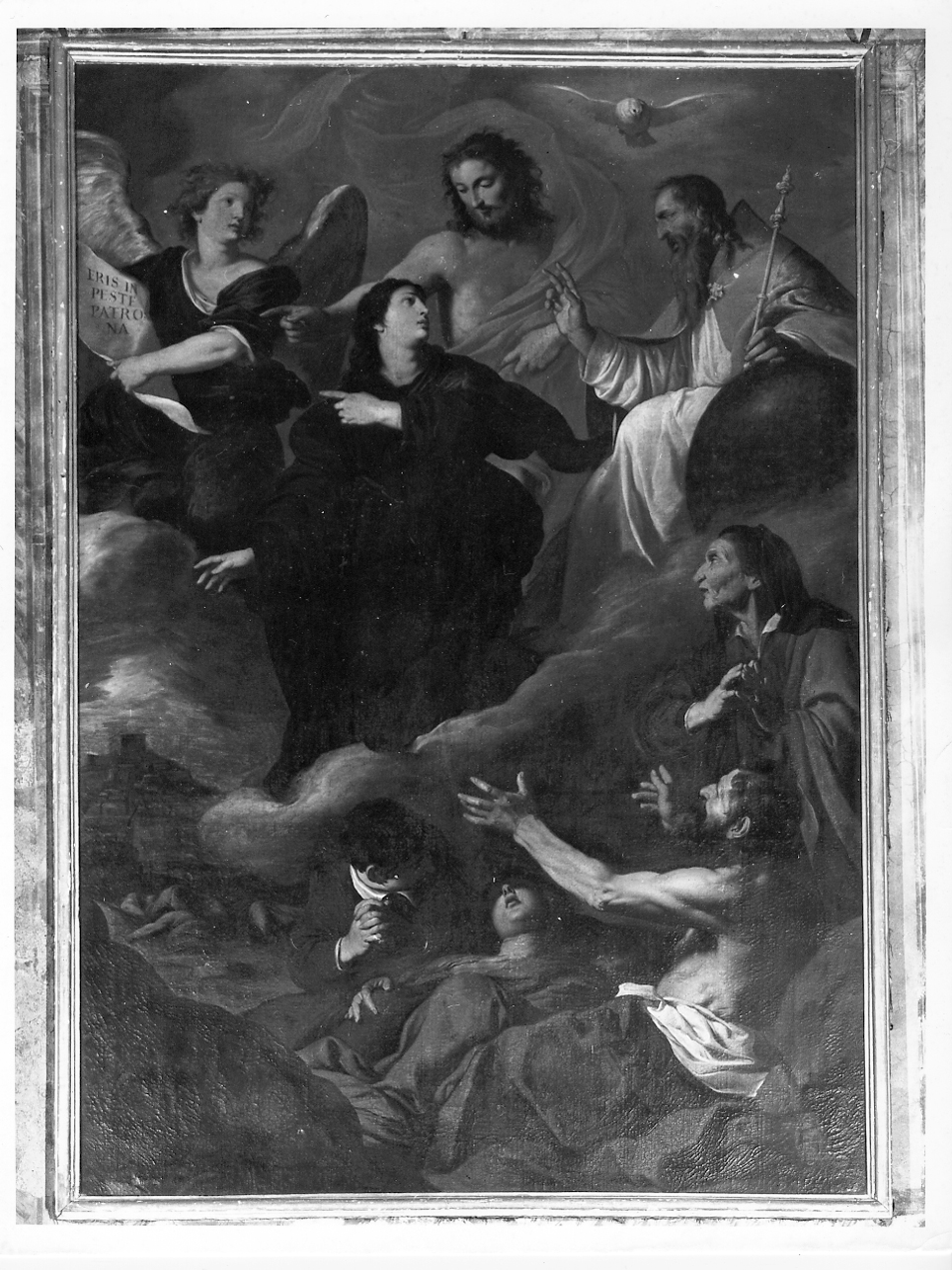 Santa Rosalia in gloria con la Trinità e gli appestati (dipinto, opera isolata) di Novelli Pietro detto Monrealese (fine/inizio secc. XVI/ XVII)