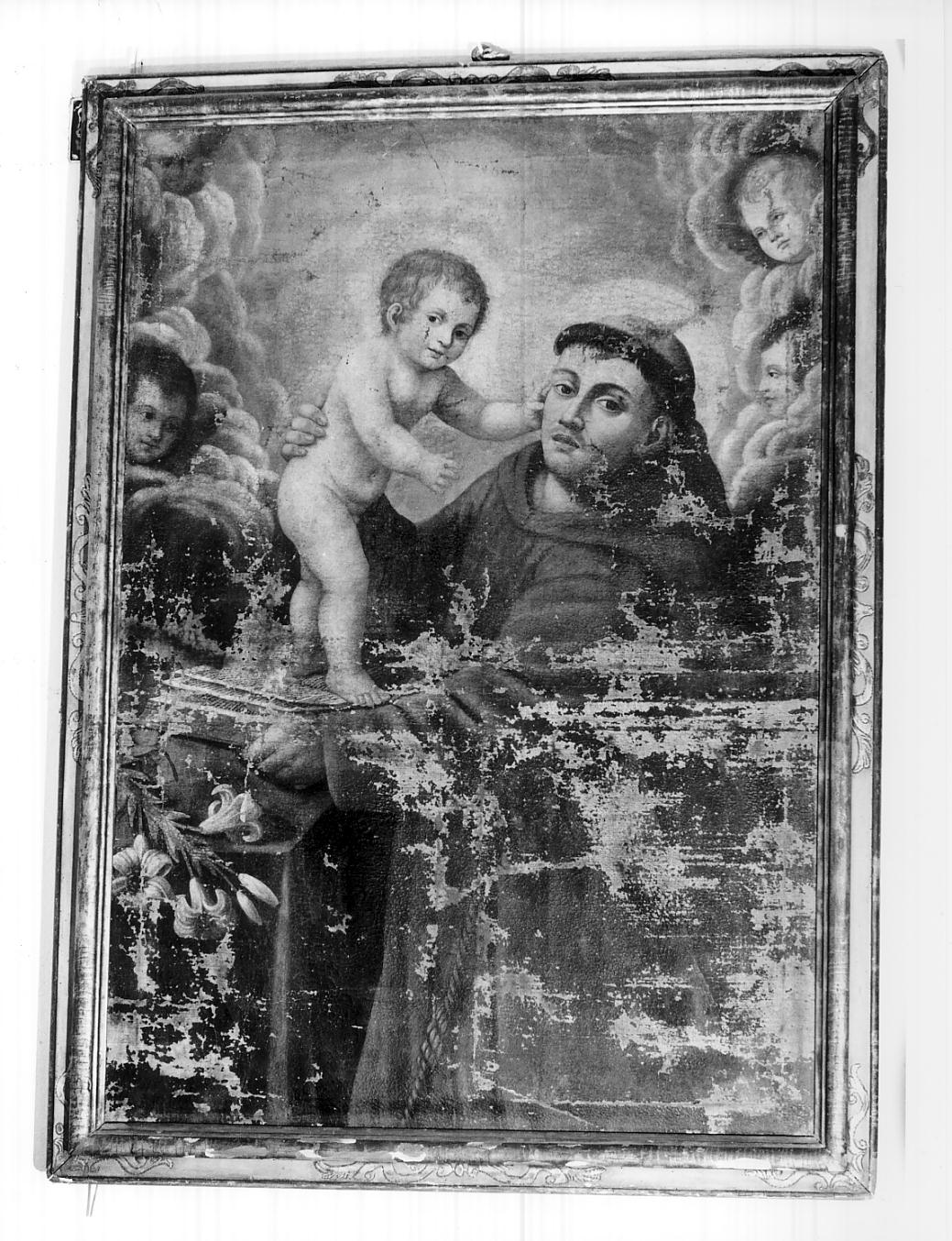 Sant'Antonio da Padova (dipinto, opera isolata) di Borgani Francesco (primo quarto sec. XVII)