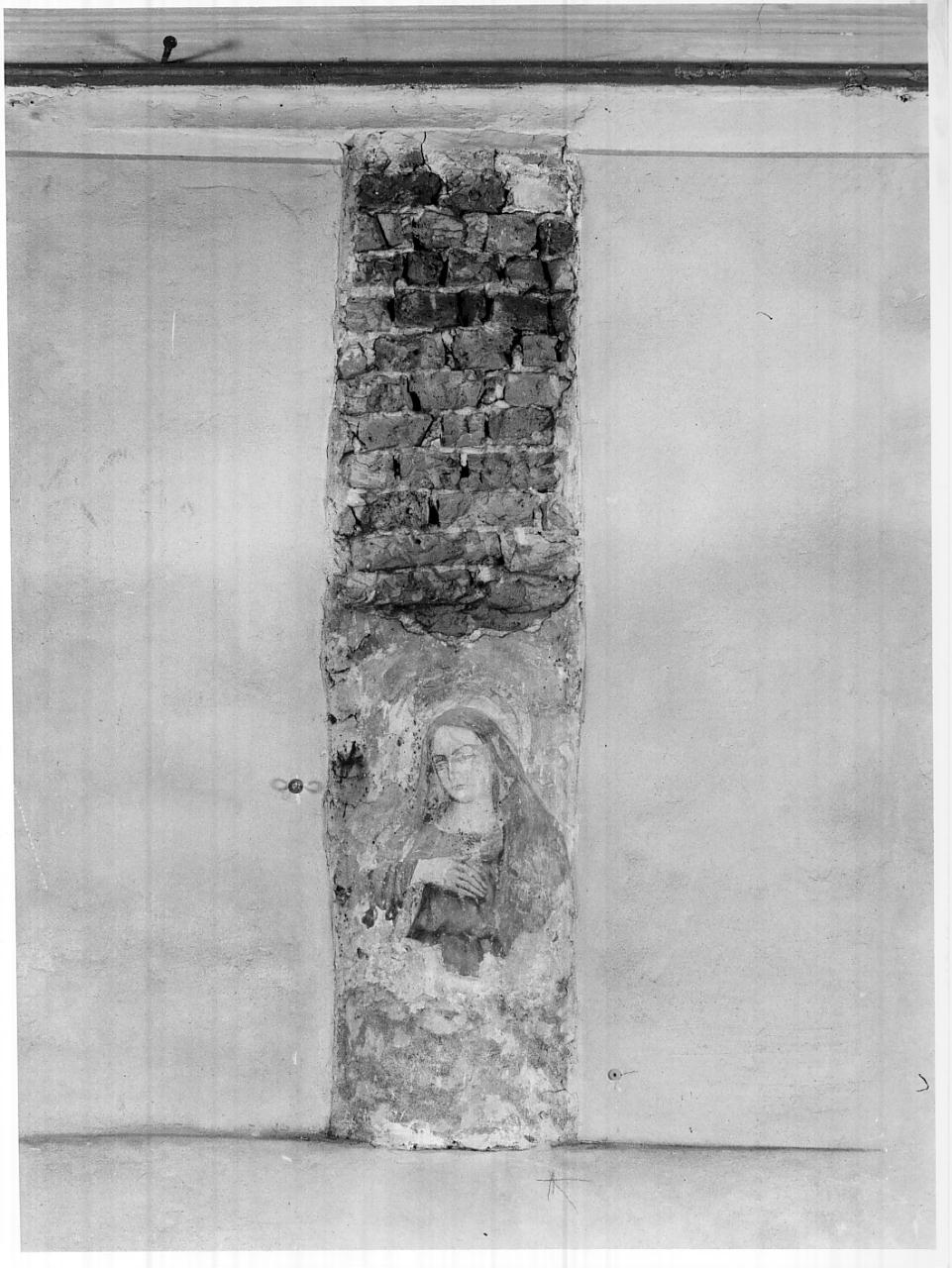 Madonna del Pilastro (dipinto, opera isolata) - ambito italiano (sec. XV)