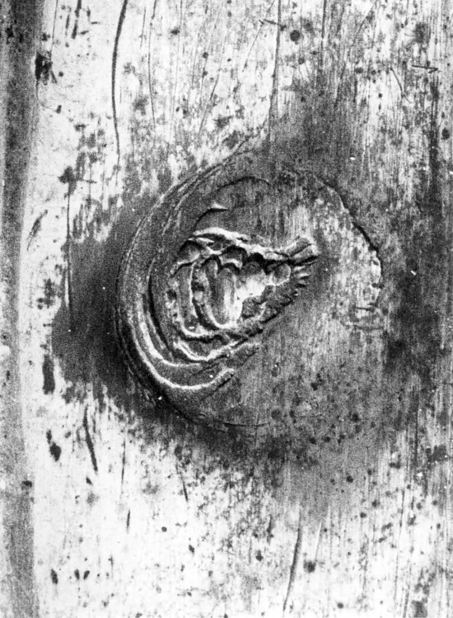 navicella portaincenso - a galeone, opera isolata - manifattura veneziana (fine/inizio secc. XVIII/ XIX)