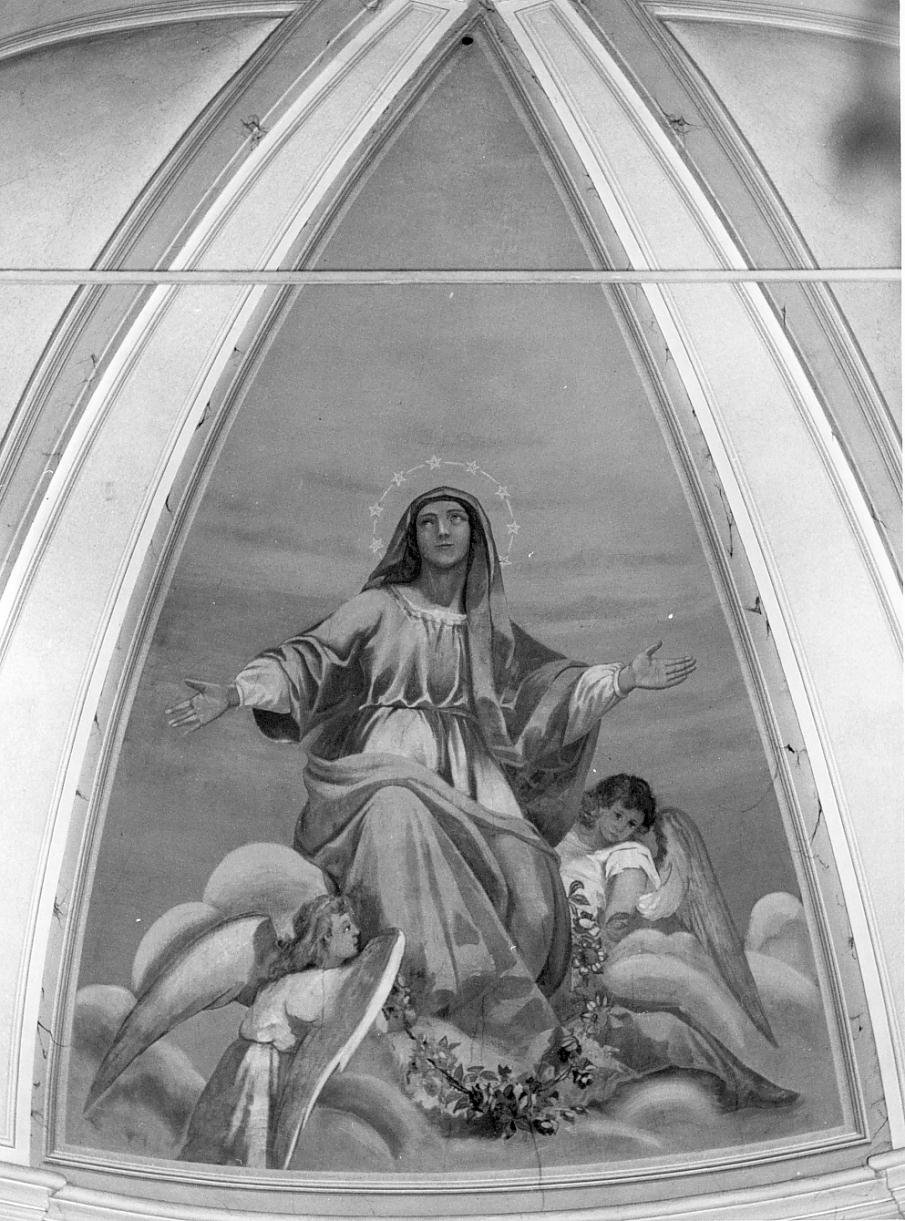 Madonna Assunta (dipinto) di Baldissara Anselmo (sec. XX)