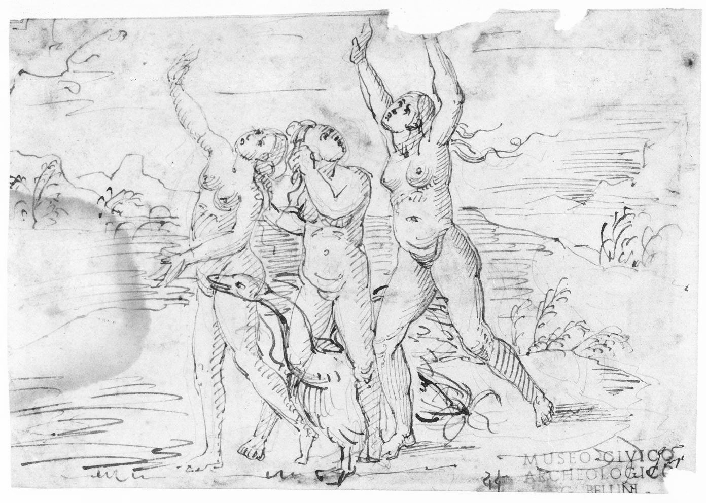 le Elidi con il cigno piangono la morte di Fetonte (disegno, opera isolata) di Impaccianti Luigi (metà sec. XIX)