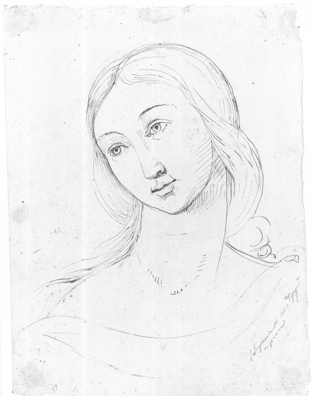 testa di donna (disegno, opera isolata) di Impaccianti Luigi (metà sec. XIX)