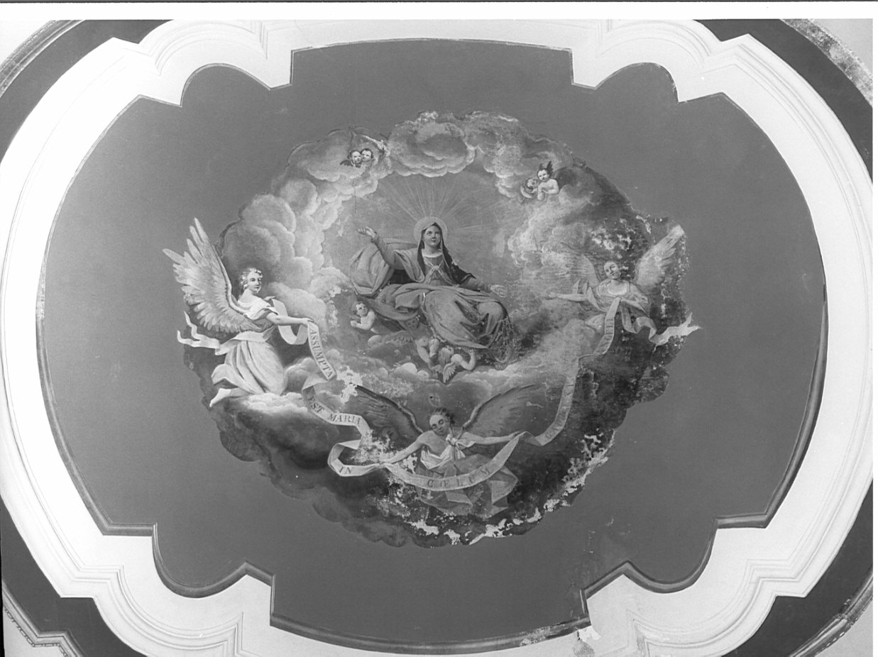 assunzione della Madonna (dipinto, opera isolata) - ambito lombardo (prima metà sec. XIX)