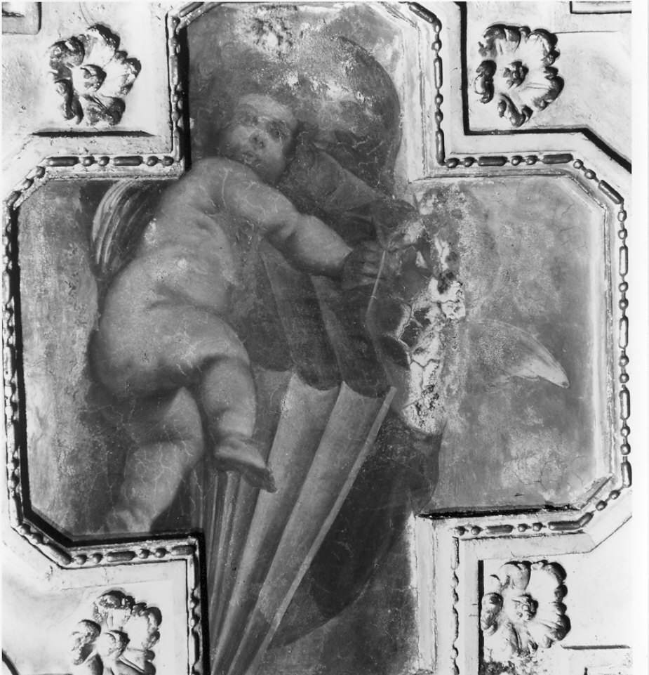 angioletto (dipinto, elemento d'insieme) di Del Sole Giovanni Battista (sec. XVII)