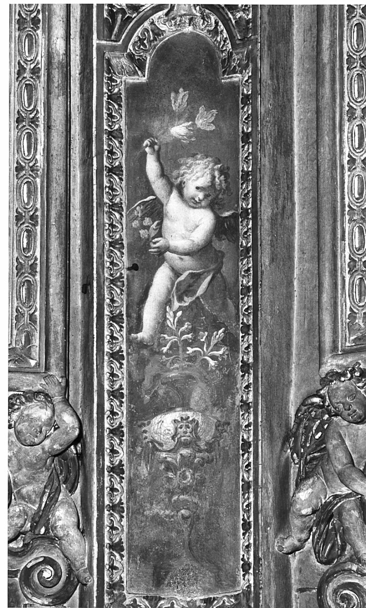 angeli (dipinto, elemento d'insieme) di Bianchi Federico (attribuito) (sec. XVII)