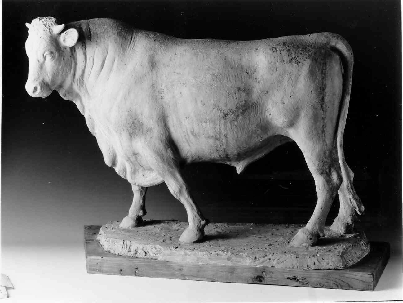 Toro, toro (scultura, opera isolata) di Ricci Giovanni Battista (secondo quarto sec. XX)