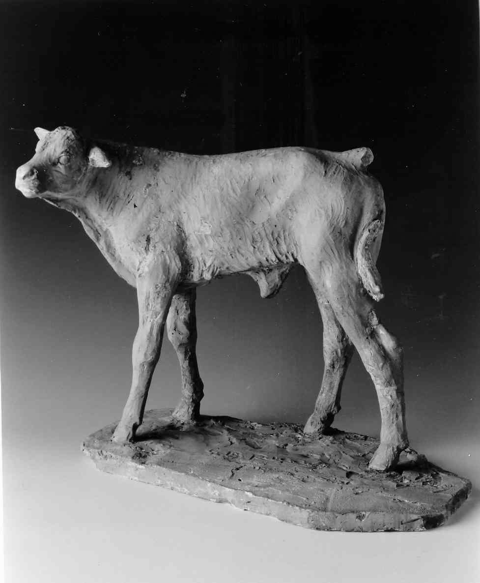 Giovenca, Giovenca (scultura, opera isolata) di Ricci Giovanni Battista (secondo quarto sec. XX)