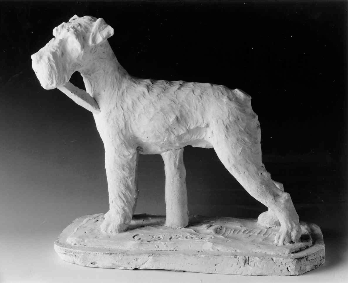 Rafterrier, cane (scultura, opera isolata) di Ricci Giovanni Battista (secondo quarto sec. XX)