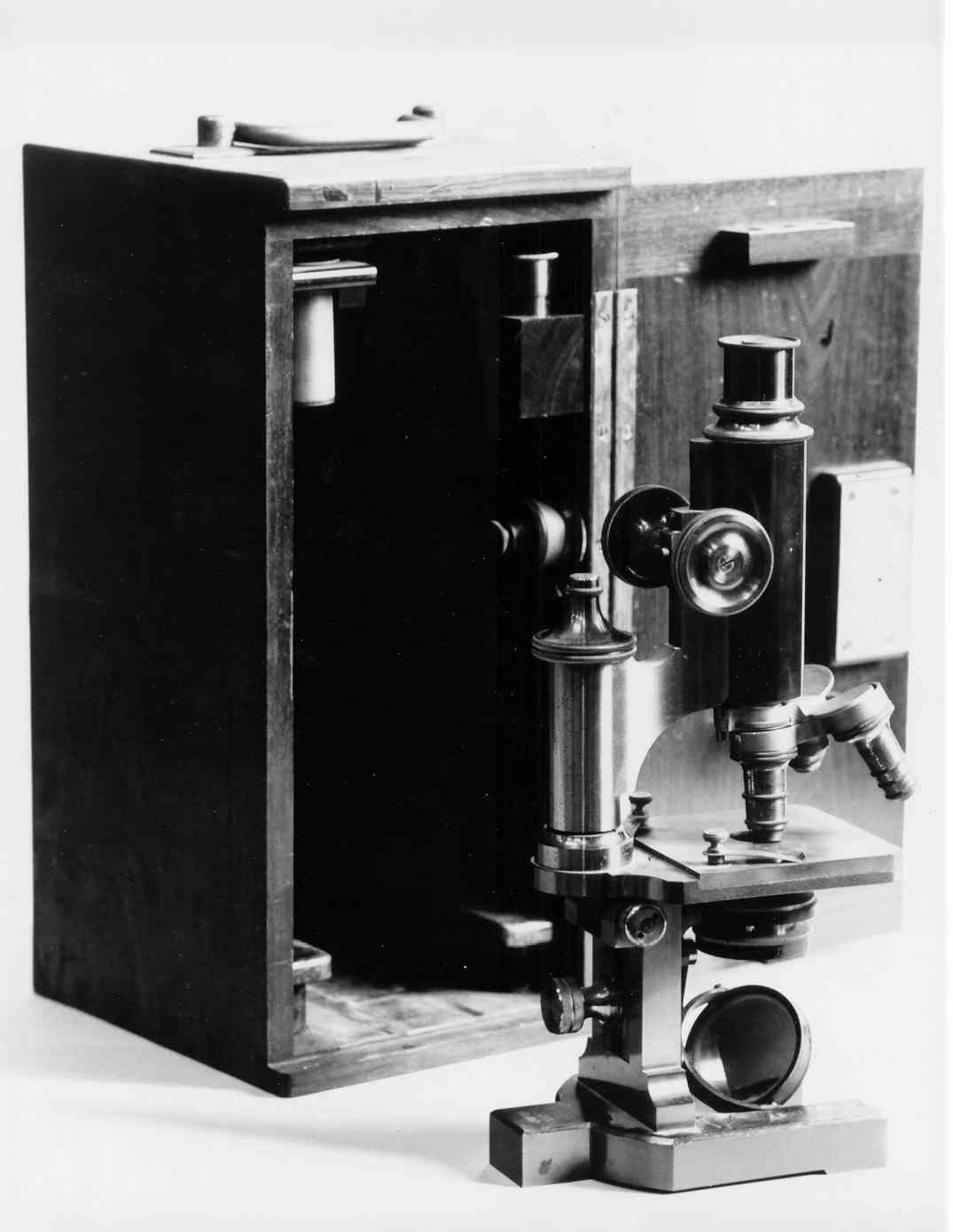 microscopio, opera isolata - ambito italiano (fine/inizio secc. XIX/ XX)