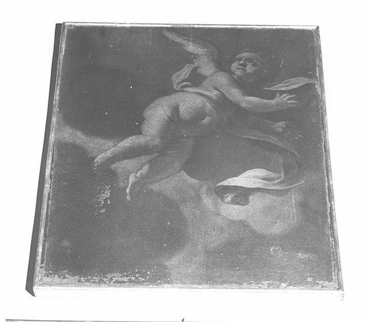 angioletto (dipinto, frammento) - ambito pavese (secc. XVII/ XVIII)