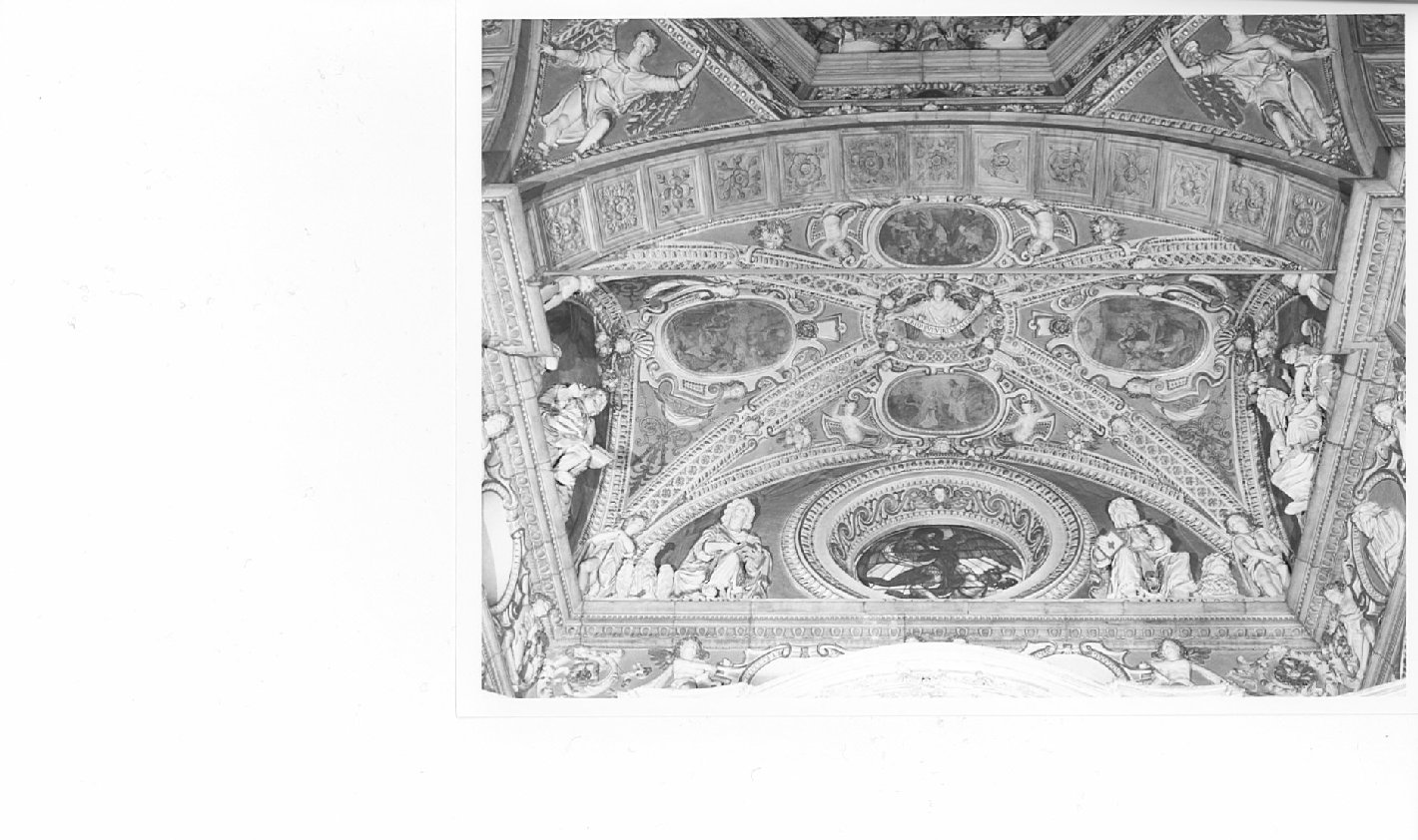 angeli/ motivi decorativi a volute/ motivi decorativi vegetali (decorazione plastica) di Bianchi Giuseppe, Fontana Giuseppe, Borseri Martino, Bianchi Pompeo (secc. XVI/ XVII)