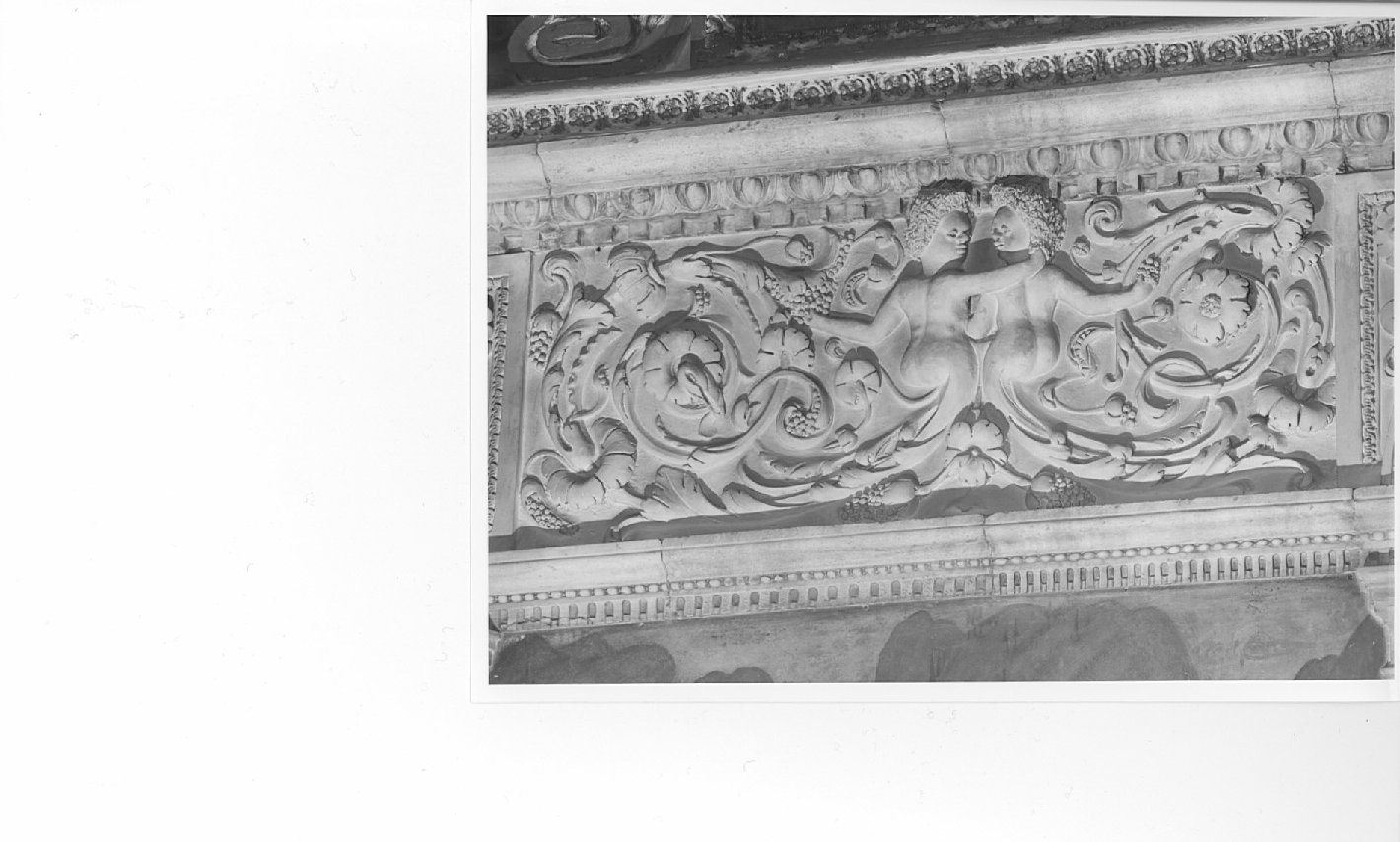 motivi decorativi a grottesche (decorazione plastica) di Borseri Martino, Fontana Francesco, Bianchi Giuseppe, Bianchi Pompeo (secc. XVI/ XVII)