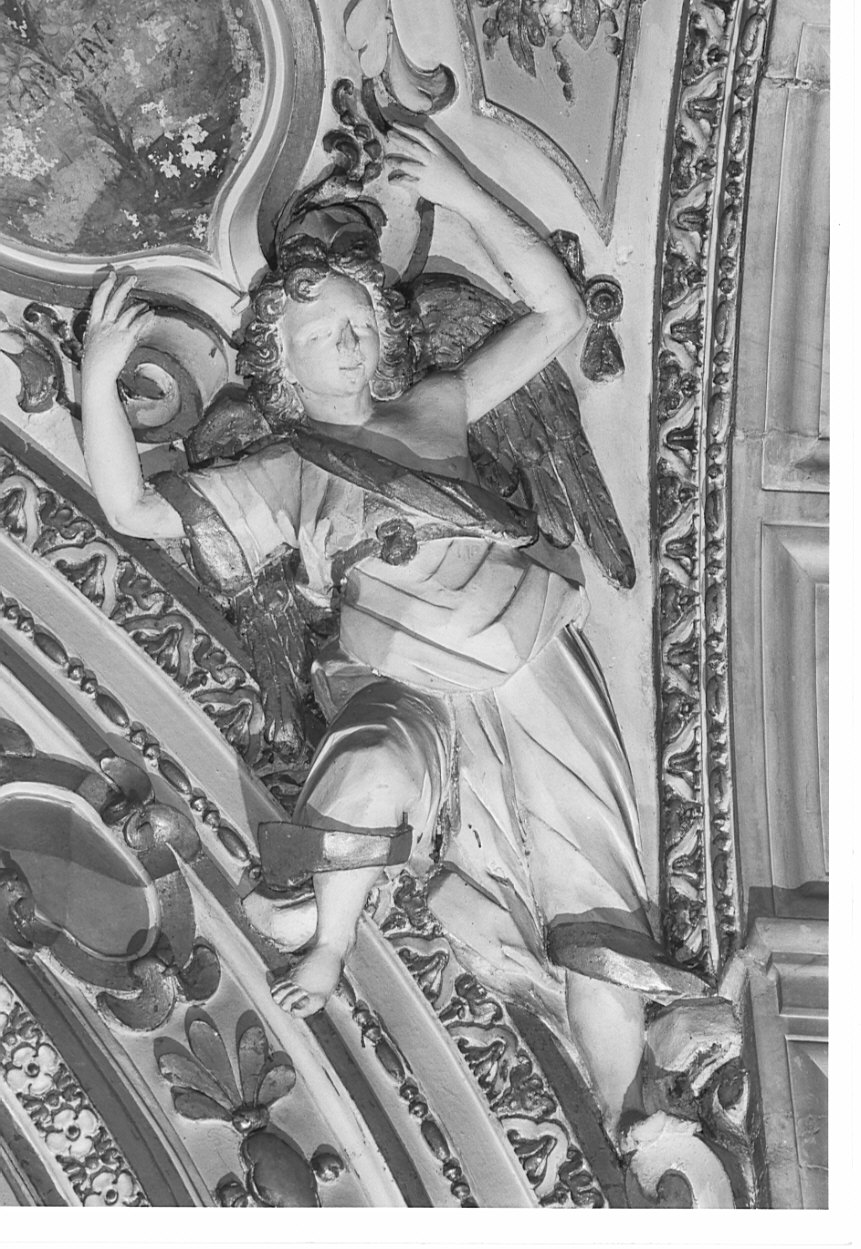 angelo reggicartiglio (decorazione plastica) di Fontana Francesco, Bianchi Giuseppe, Bianchi Pompeo (secc. XVI/ XVII)