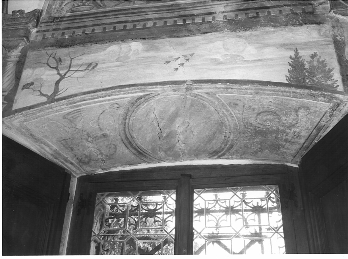Patera con motivi decorativi a grottesche (dipinto, elemento d'insieme) di De Barberis Michele (attribuito) (sec. XVI)