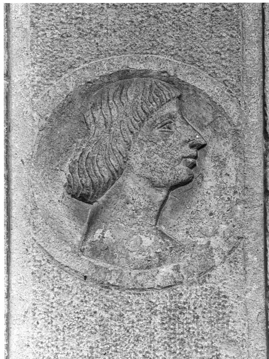 Ritratto maschile di profilo (rilievo, elemento d'insieme) di Rodari Bernardino (maniera) (sec. XVI)