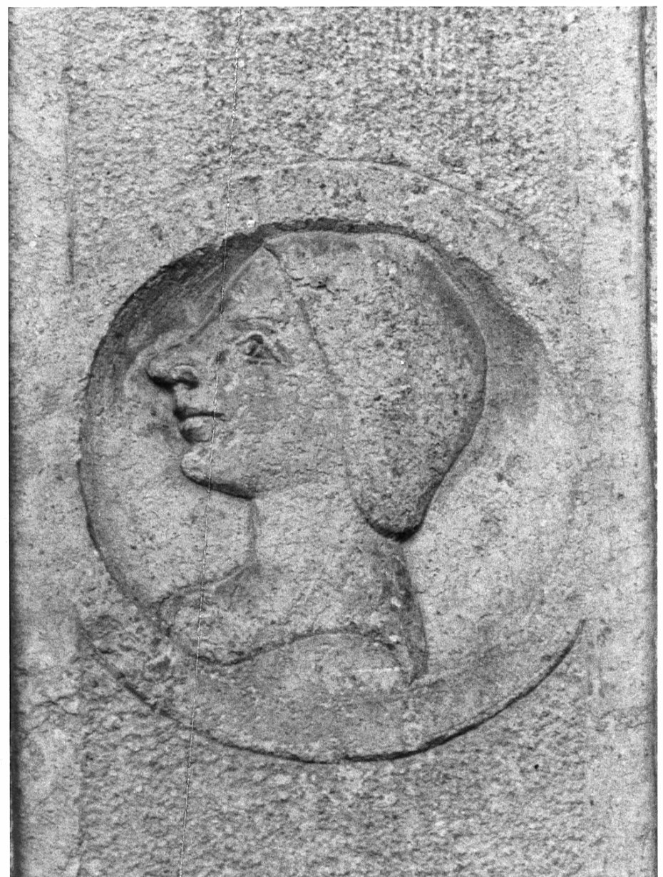 Ritratto femminile di profilo (rilievo, elemento d'insieme) di Rodari Bernardino (maniera) (sec. XVI)