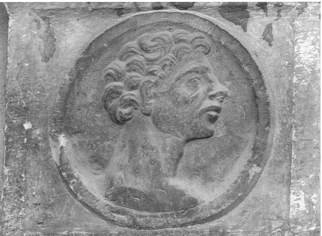 Ritratto maschile di profilo (rilievo, elemento d'insieme) di Rodari Bernardino (maniera) (sec. XVI)