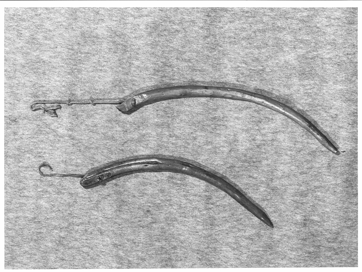 punteruolo, serie - ambito valtellinese (primo quarto sec. XX)