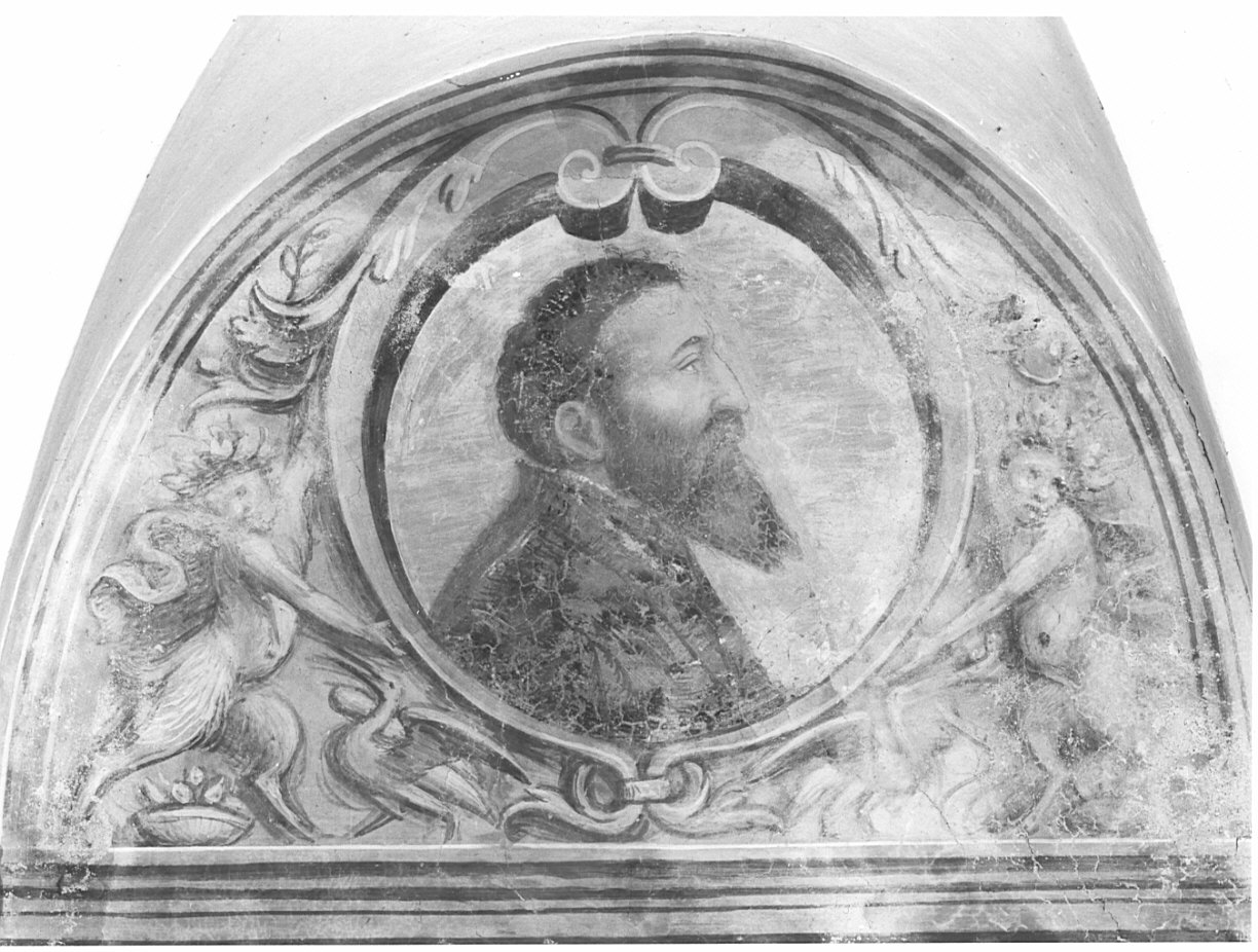 Motivi decorativi con angeli reggitarga/ ritratto maschile (dipinto, elemento d'insieme) di De Barberis Vincenzo (attribuito) (sec. XVI)