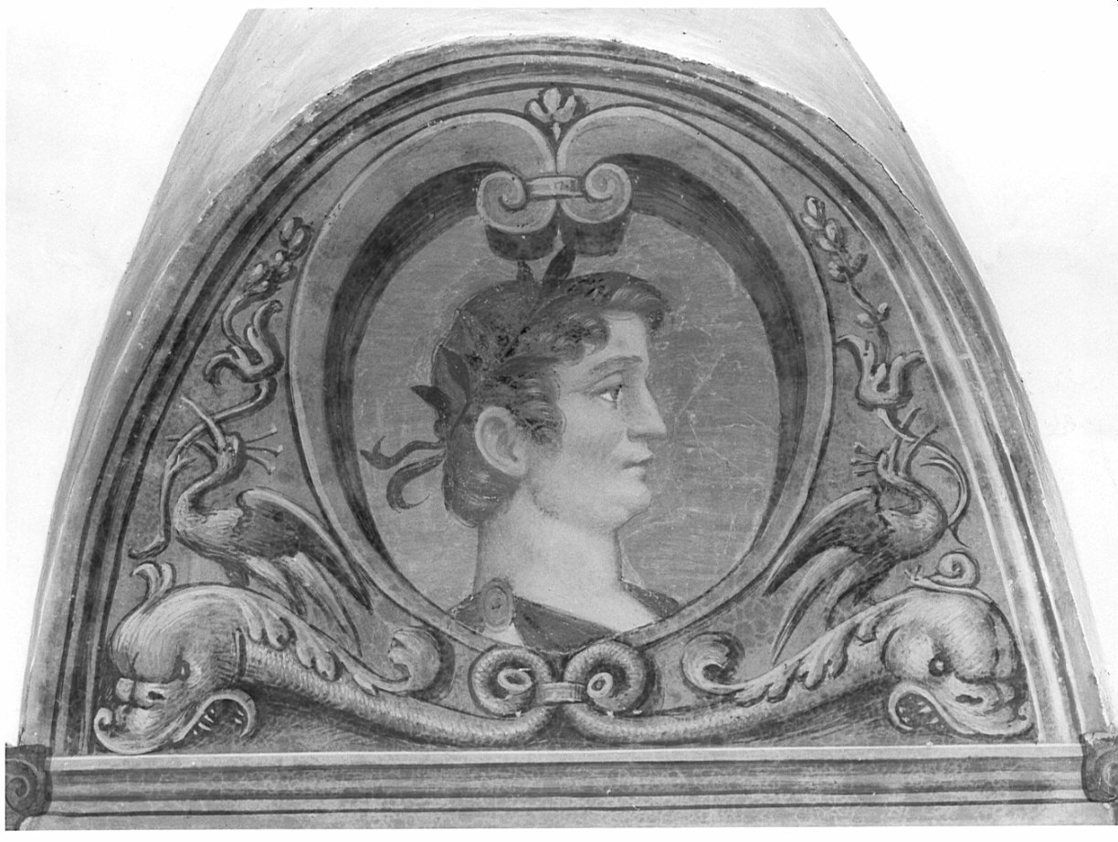 Motivi decorativi/ ritratto maschile (dipinto, elemento d'insieme) di De Barberis Vincenzo (attribuito) (sec. XVI)