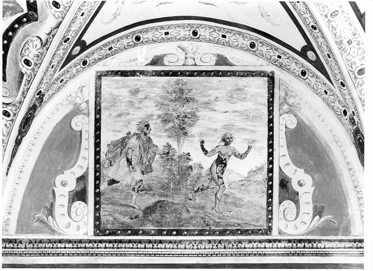 Apollo e Dafne (dipinto, ciclo) di Aragoni Aragonio (sec. XVI)