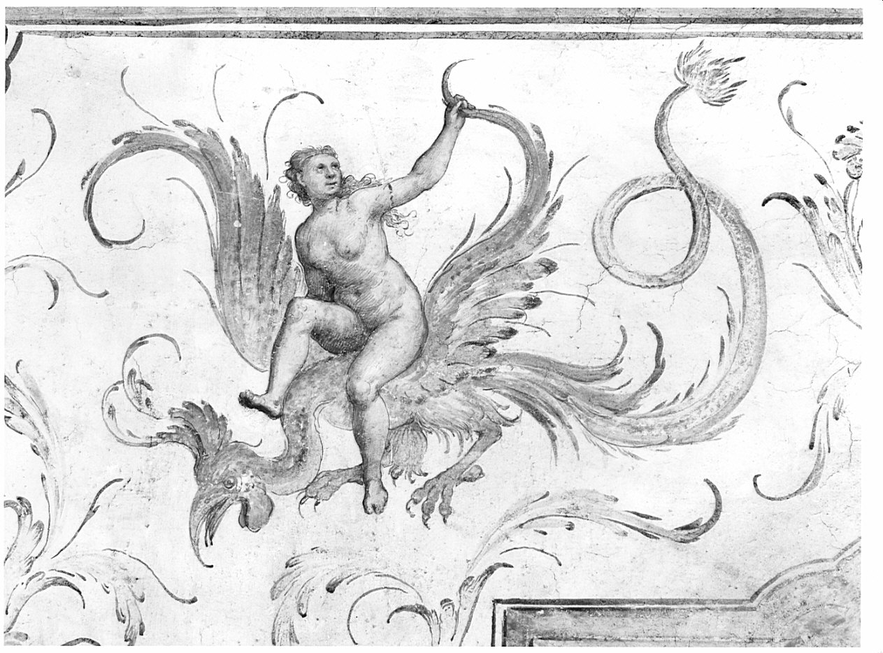 Minerva si rivela ad Aracne/ motivi decorativi a grottesche (dipinto, ciclo) di Caneva Antonio Maria detto Porlezzino (cerchia) (sec. XVI)