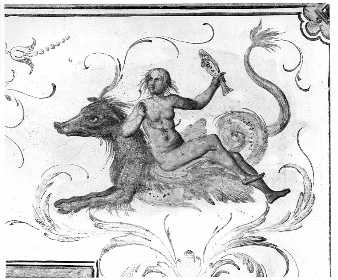 Minerva raffigura gli Dei/ motivi decorativi a grottesche (dipinto, ciclo) di Caneva Antonio Maria detto Porlezzino (cerchia) (sec. XVI)