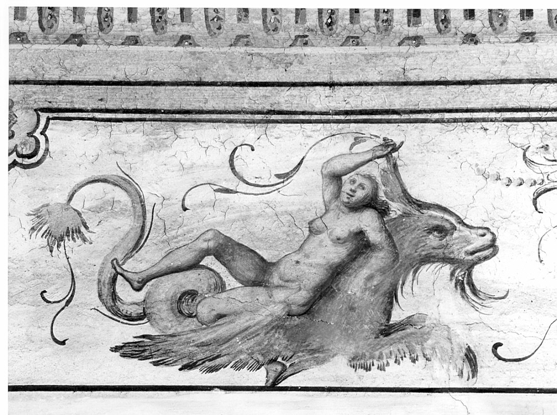Minerva raffigura gli Dei/ motivi decorativi a grottesche (dipinto, ciclo) di Caneva Antonio Maria detto Porlezzino (cerchia) (sec. XVI)