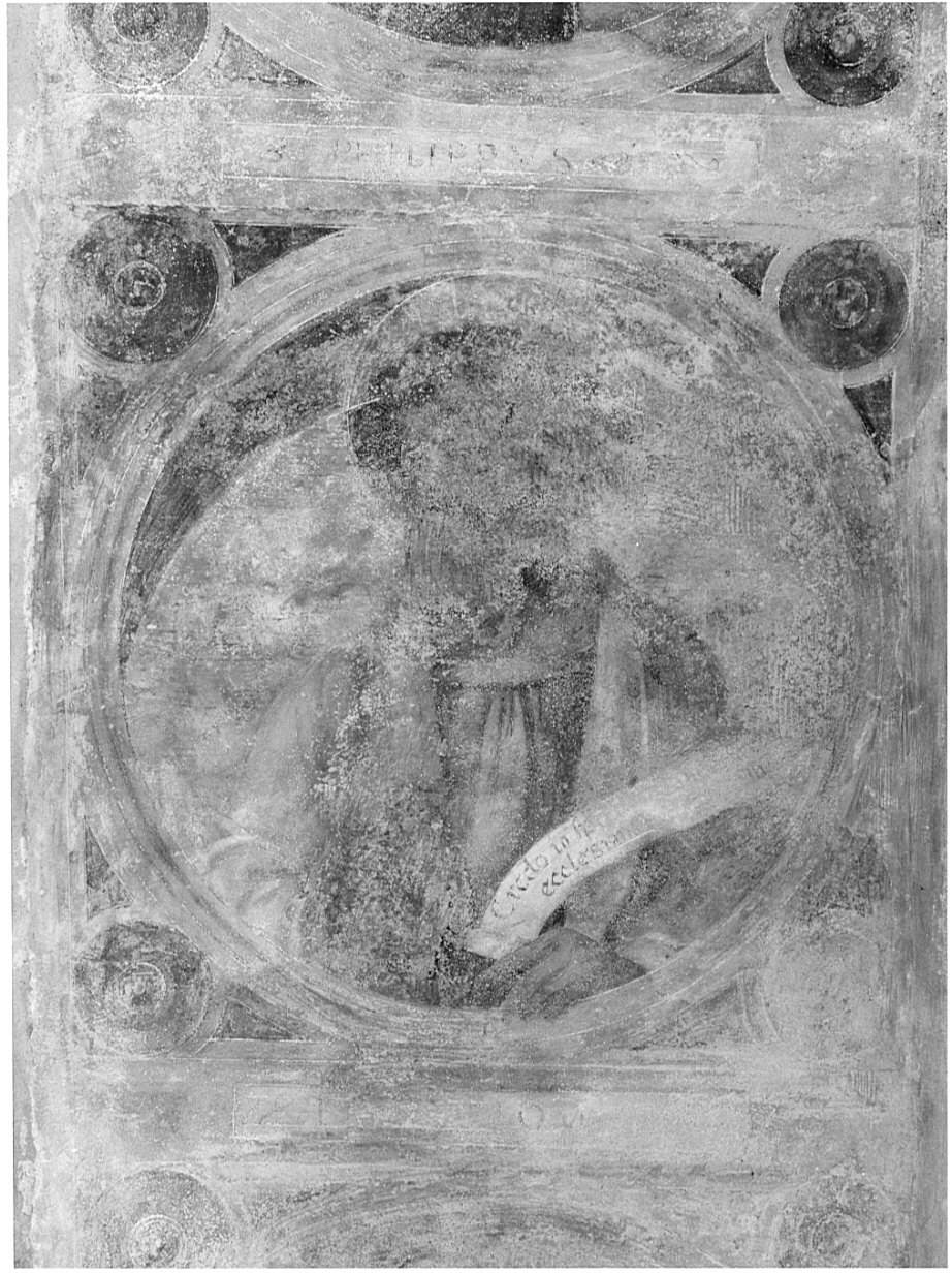 San Bartolomeo (dipinto, elemento d'insieme) di Stella Fermo detto Fermo da Caravaggio (sec. XVI)