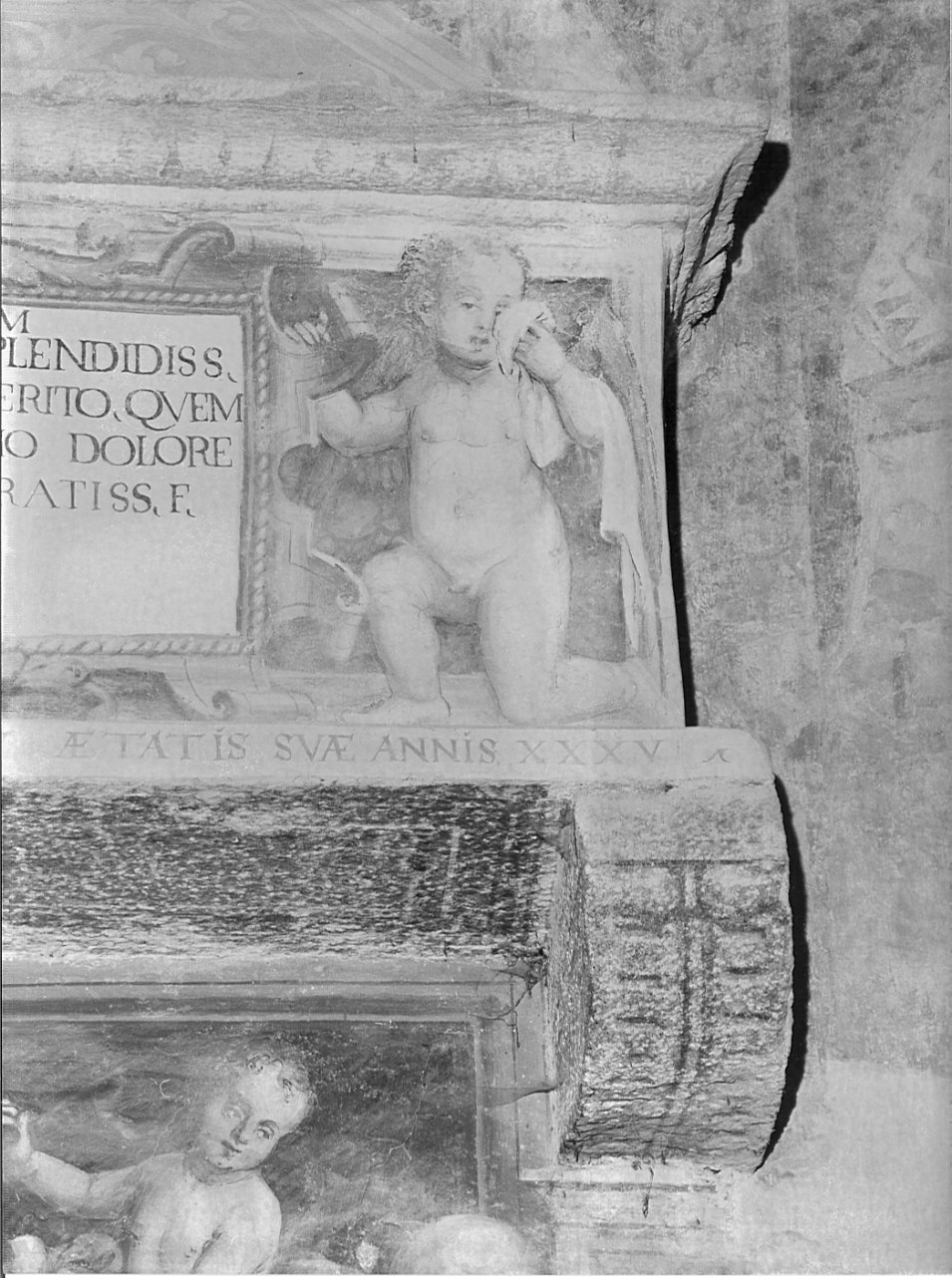 angeli reggitarga (dipinto, elemento d'insieme) - ambito lombardo (sec. XVI)