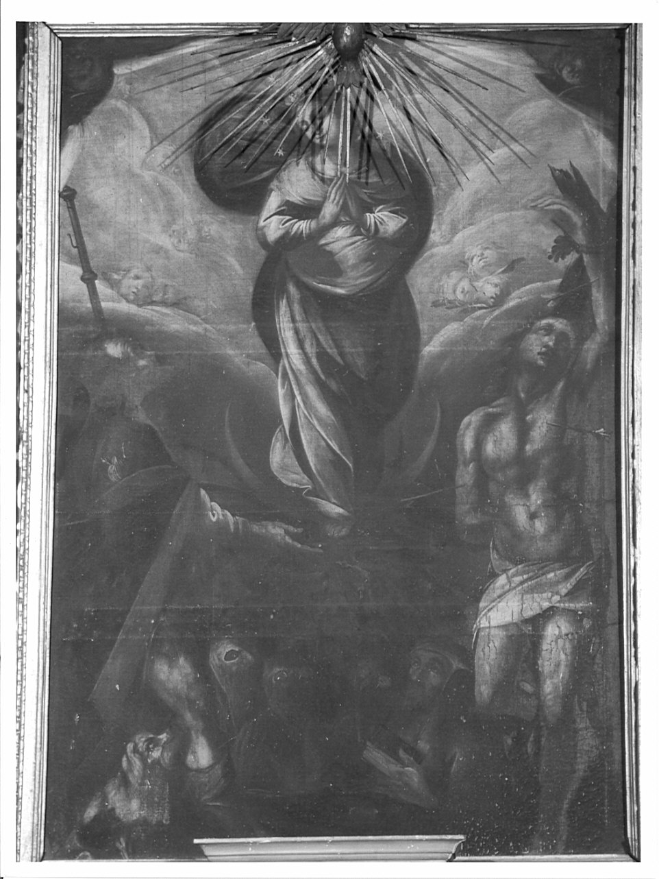 Madonna Immacolata e Santi (dipinto, opera isolata) di Piatti Francesco (sec. XVII)
