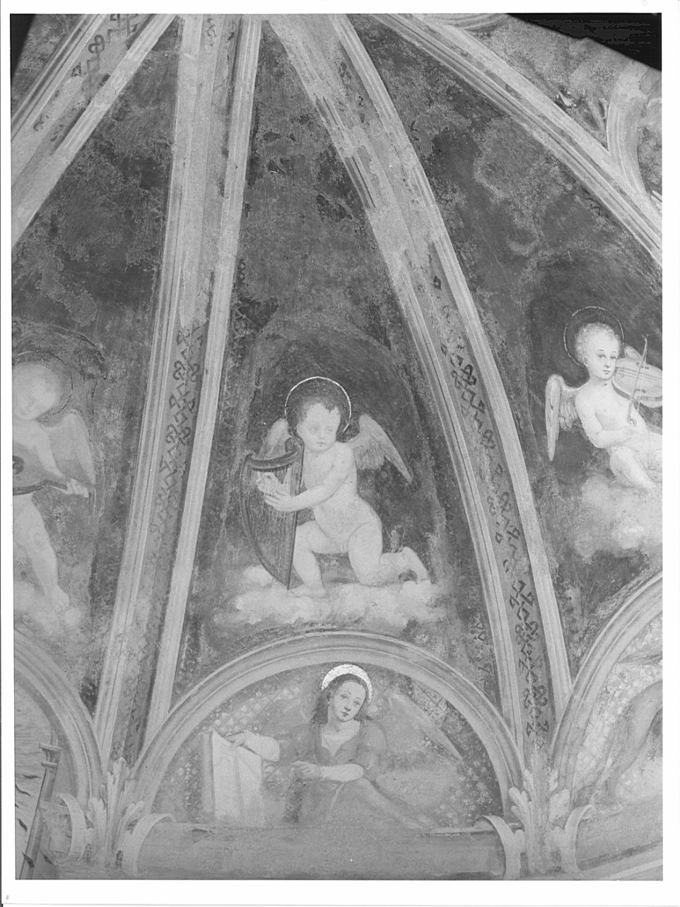 angioletto musicante/ simbolo di San Matteo Evangelista: angelo (dipinto, elemento d'insieme) di Valorsa Cipriano (sec. XVI)