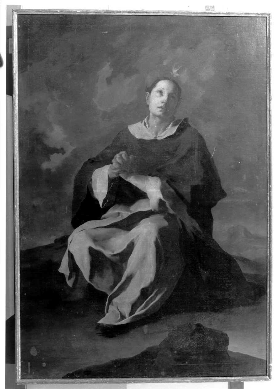 San Vincenzo Ferrer (dipinto, opera isolata) di Petrini Giuseppe Antonio (metà sec. XVIII)