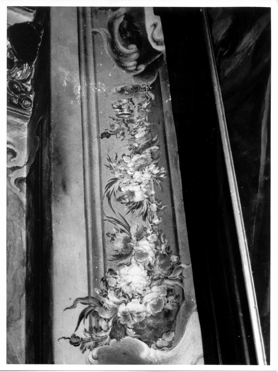motivi decorativi a tralcio di fiori (dipinto, elemento d'insieme) di Petrini Giuseppe Antonio (attribuito), Torricelli Giovanni Antonio (seconda metà sec. XVIII)