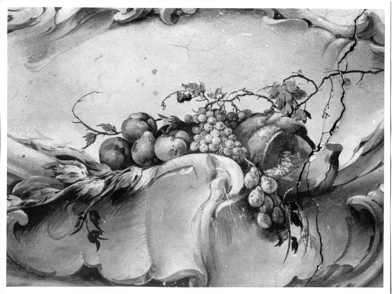 tralcio con frutti (dipinto, elemento d'insieme) di Porro Giuseppe (attribuito) (seconda metà sec. XVIII)
