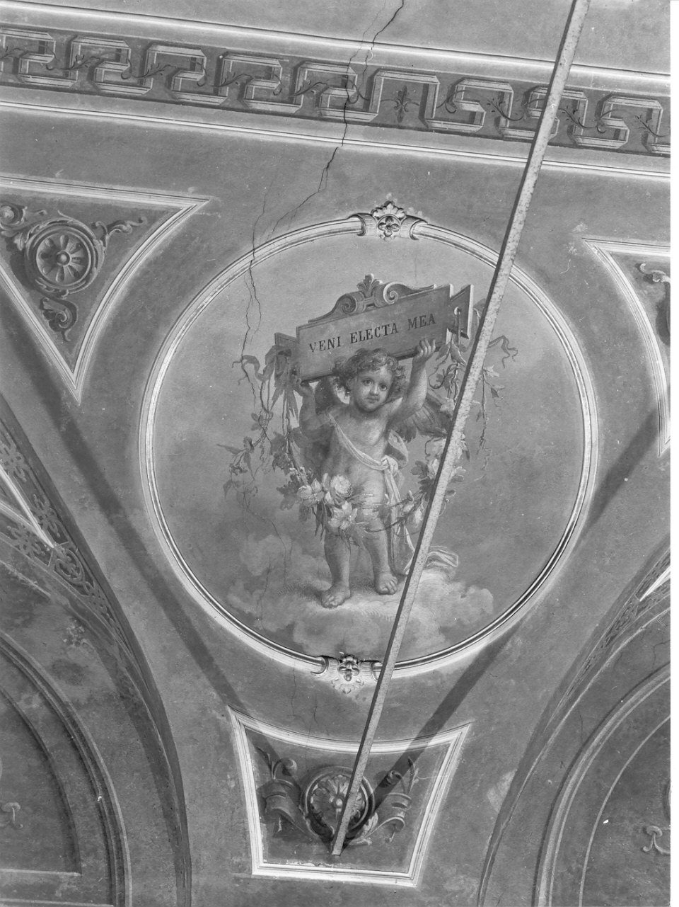 angioletto reggicartiglio (dipinto, elemento d'insieme) di Tagliaferri Luigi (sec. XIX)