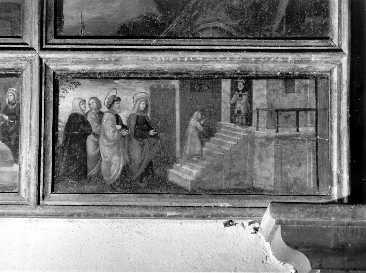 presentazione di Maria Vergine al tempio (scomparto di predella, elemento d'insieme) di De Barberis Vincenzo (attribuito) (secondo quarto sec. XVI)