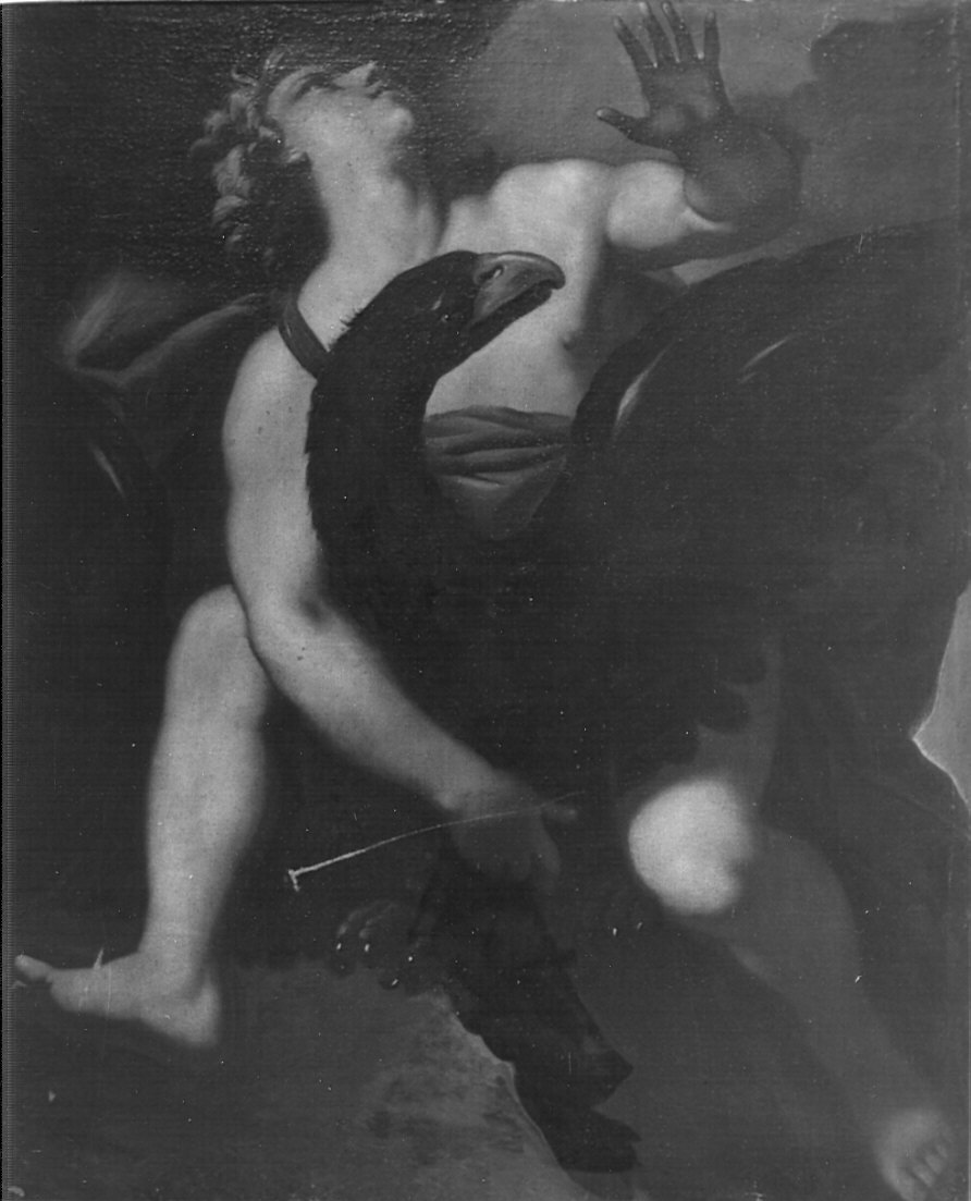 Ganimede e l'aquila di Giove (dipinto, opera isolata) di Cignani Carlo (attribuito) (secc. XVII/ XVIII)