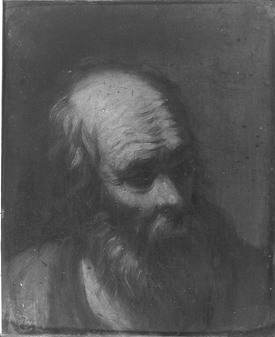 uomo con barba (dipinto, opera isolata) di Cifrondi Antonio (scuola) (sec. XVIII)