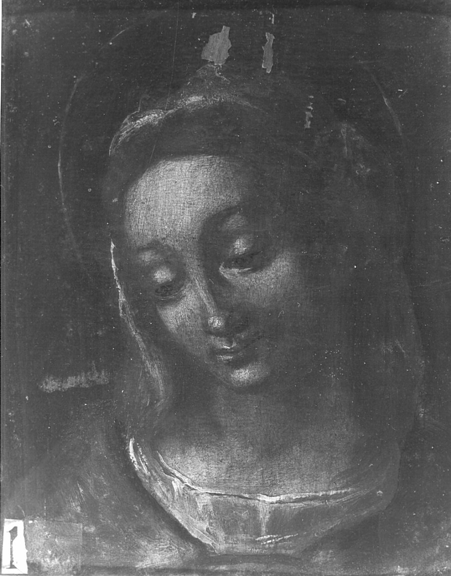 vergine (dipinto, opera isolata) di Orelli Vincenzo Angelo (scuola) (secc. XVIII/ XIX)