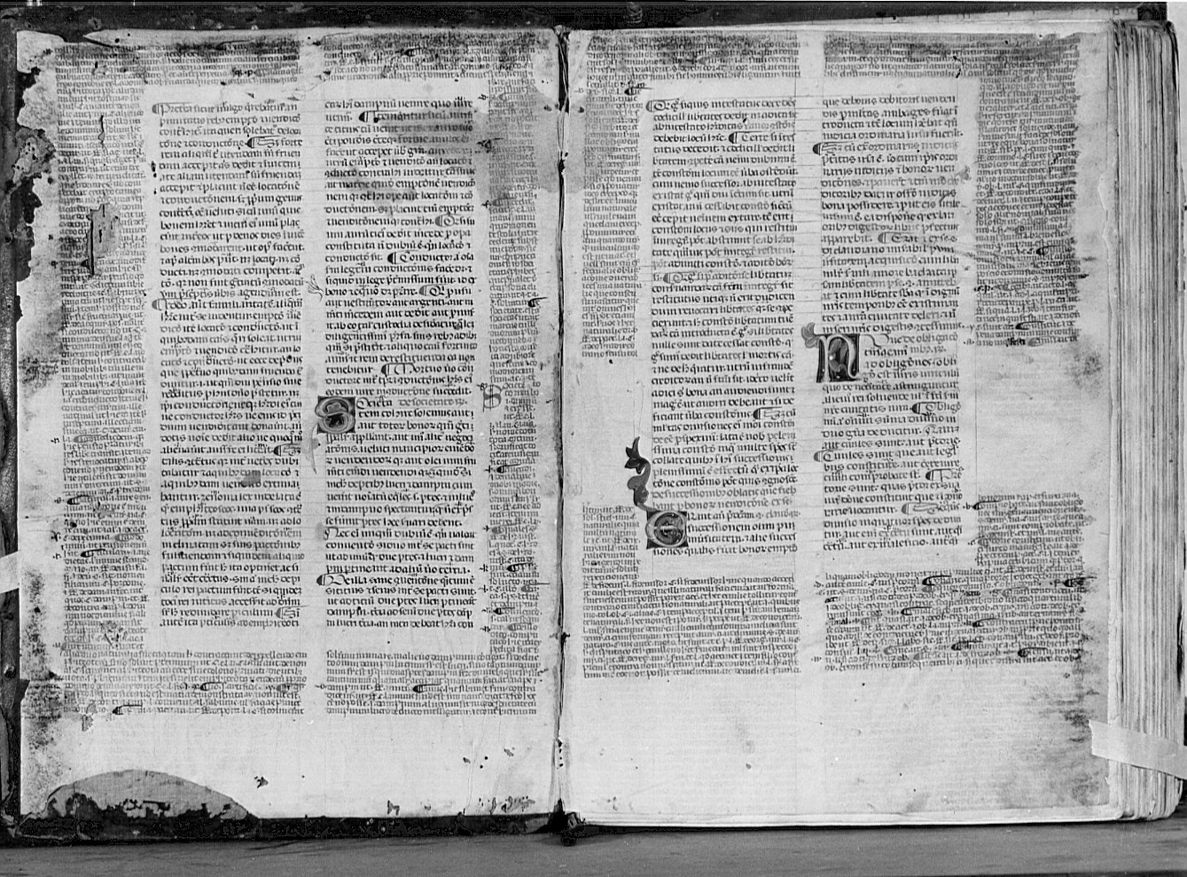 miniatura, opera isolata - ambito bergamasco (prima metà sec. XVI)