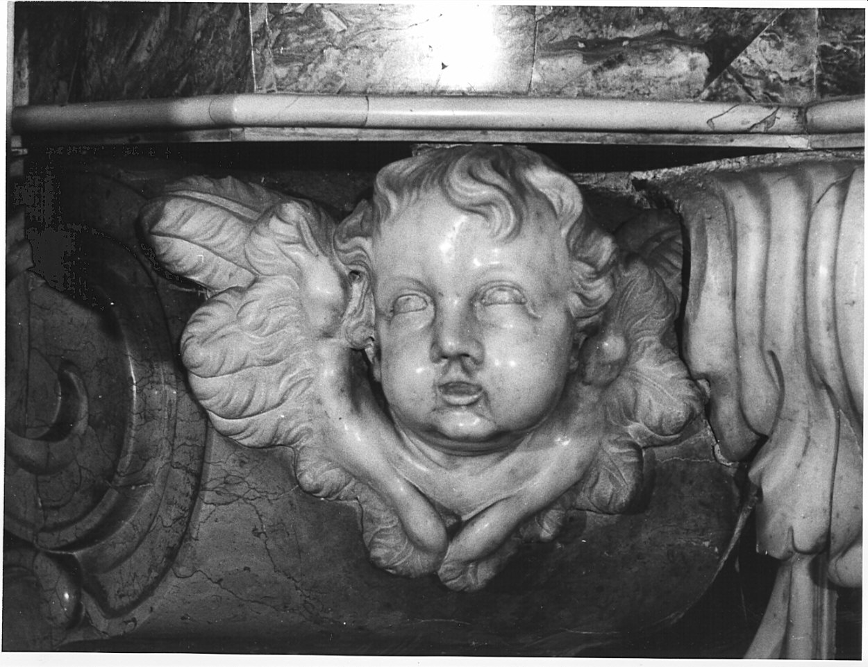 cherubino (scultura, elemento d'insieme) di Fantoni Andrea (scuola) (metà sec. XVIII)
