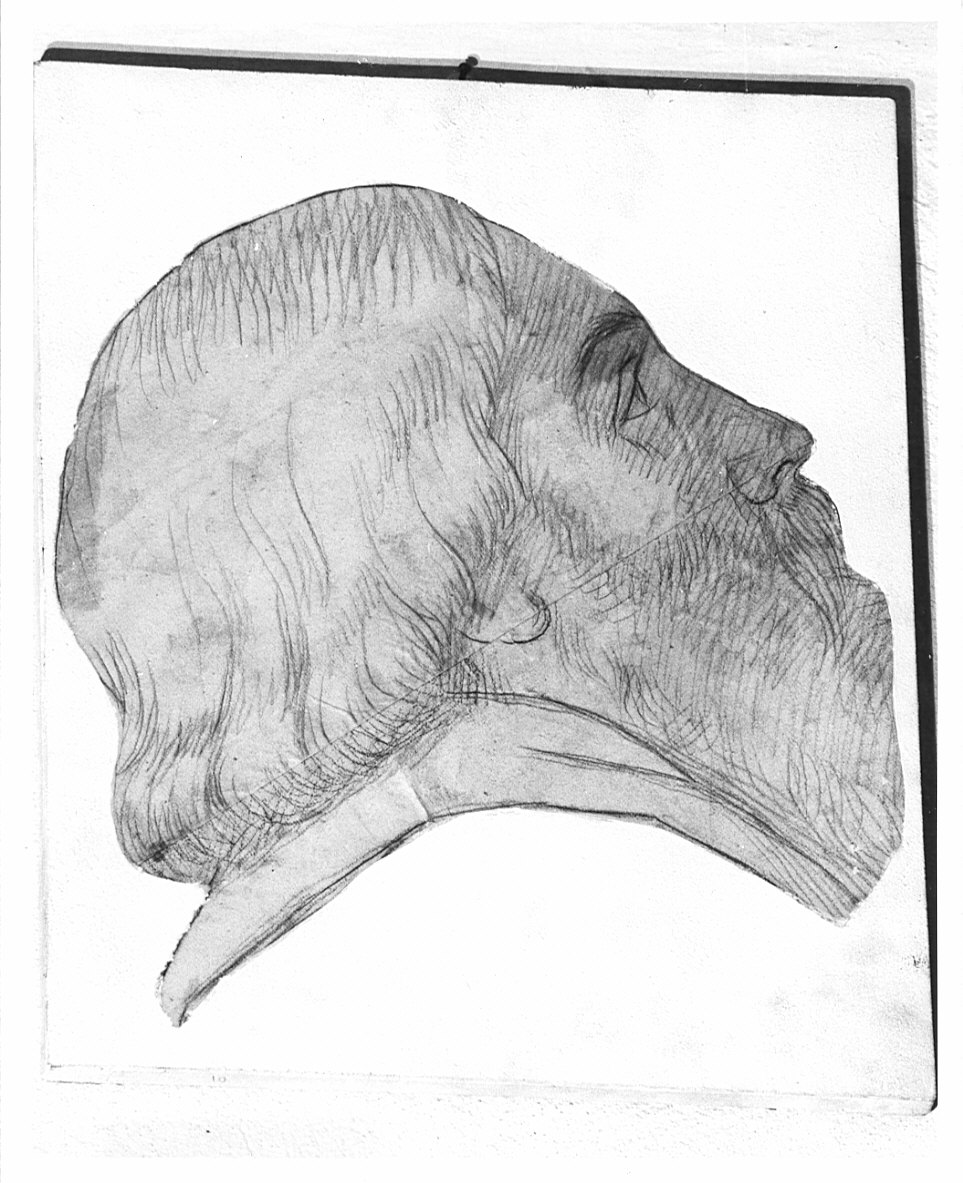 testa di vecchio (disegno, opera isolata) di Moriggia Giovanni (attribuito) (metà sec. XIX)