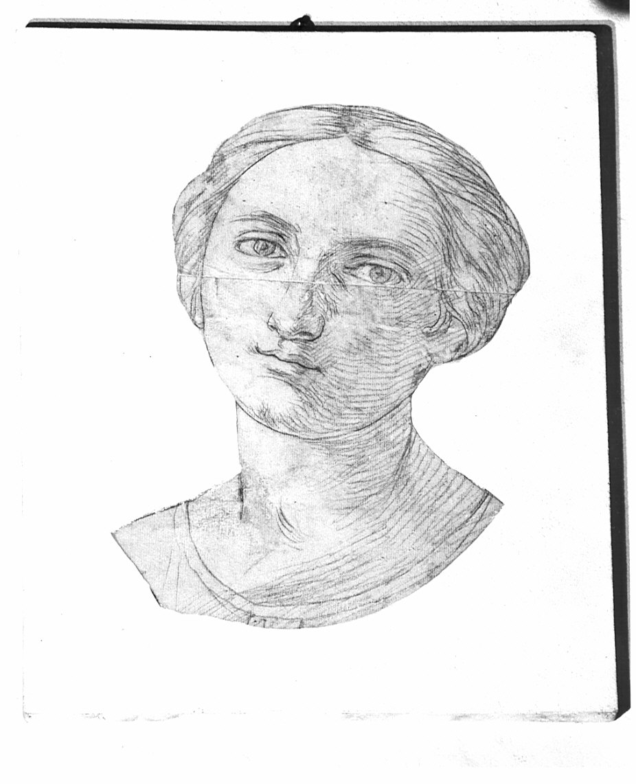 testa di donna (disegno, opera isolata) di Moriggia Giovanni (attribuito) (metà sec. XIX)