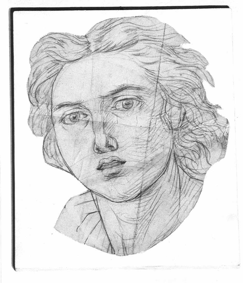 testa di giovane (disegno, opera isolata) di Moriggia Giovanni (attribuito) (metà sec. XIX)