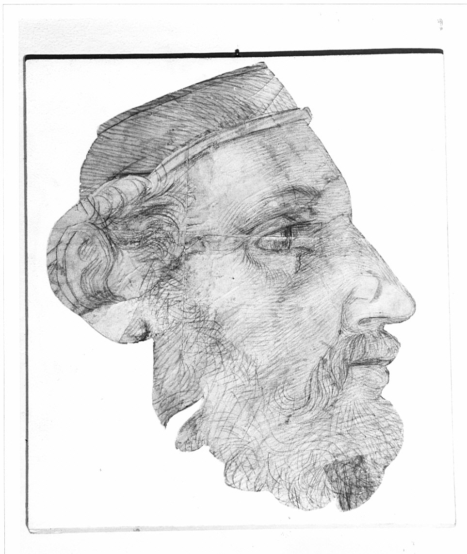 testa di vecchio (disegno, opera isolata) di Moriggia Giovanni (attribuito) (metà sec. XIX)