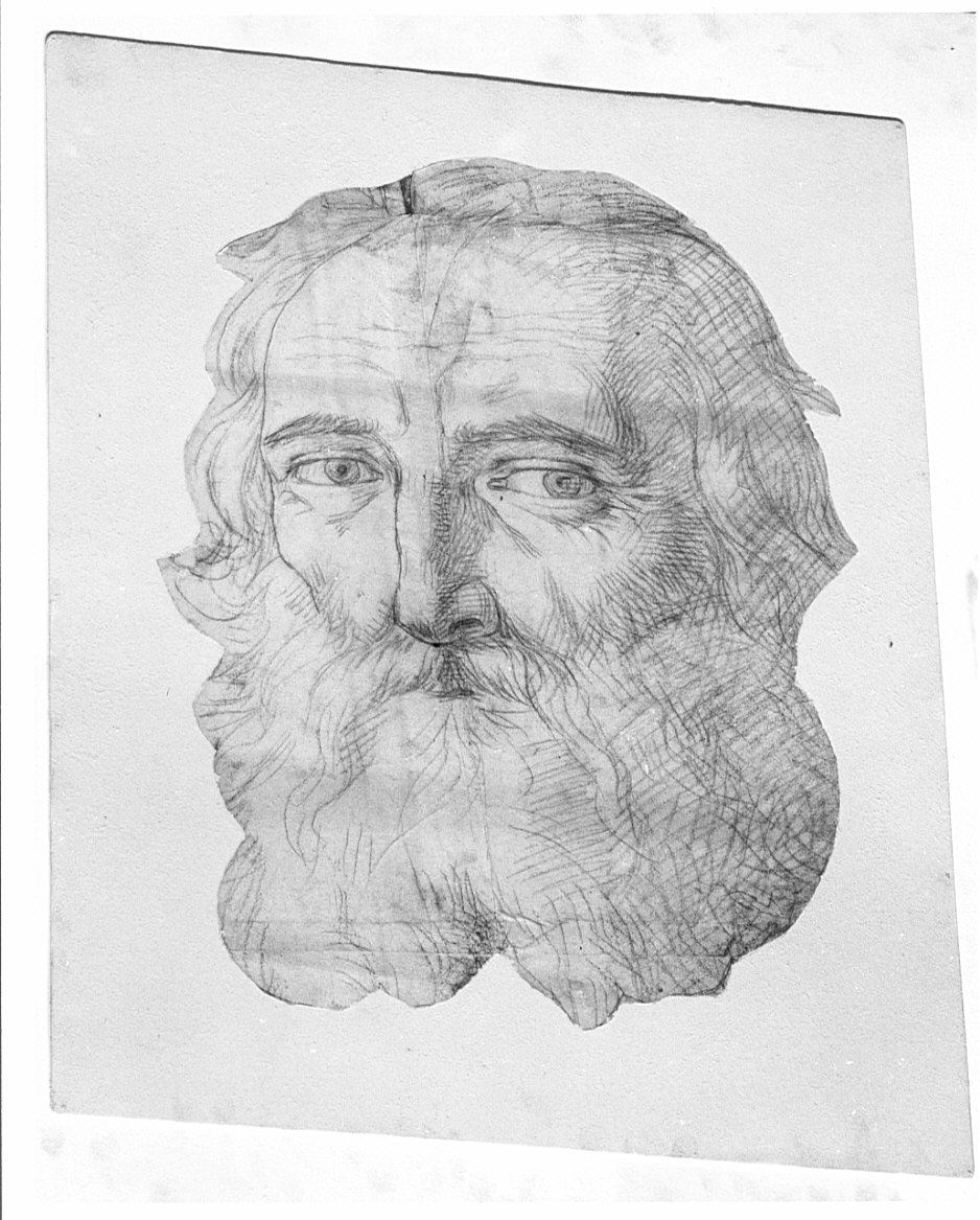 testa di vecchio (disegno, opera isolata) di Moriggia Giovanni (attribuito) (metà sec. XIX)